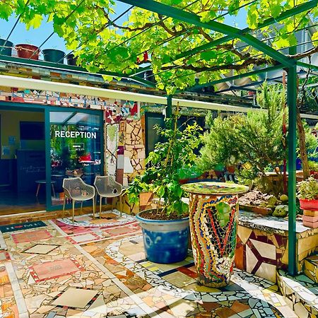 Hostel Art & Joy بولا المظهر الخارجي الصورة